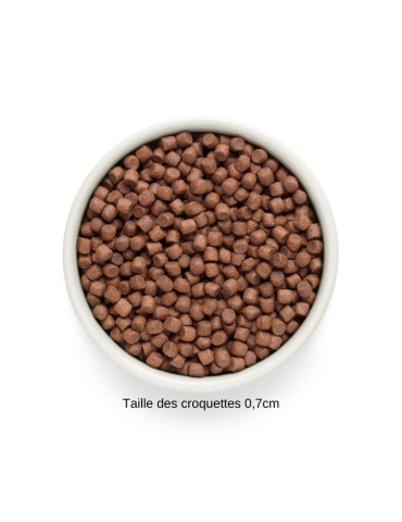 Croquettes pour chien - Agneau - Petite race - Grandorf Fresh 2