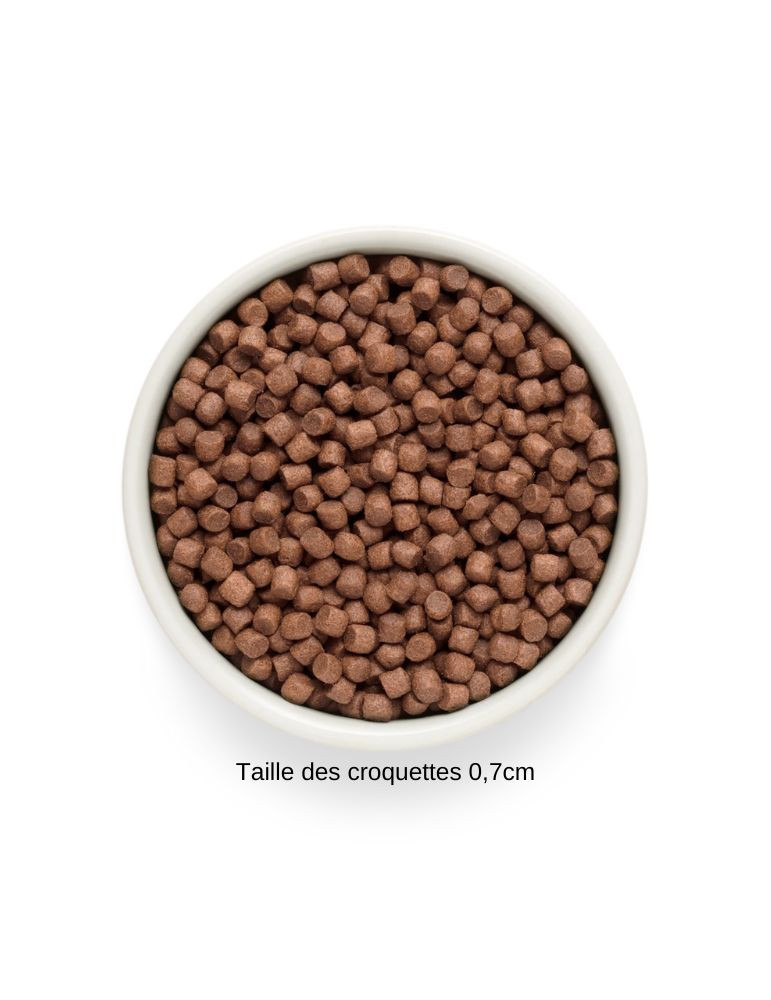 Croquettes chien adulte petite race - Sans céréales - Dinde - Grandorf Fresh