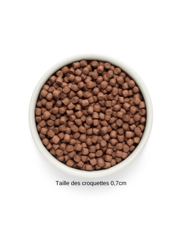 Croquettes chien - Saumon - Petite race - Grandorf Fresh 2