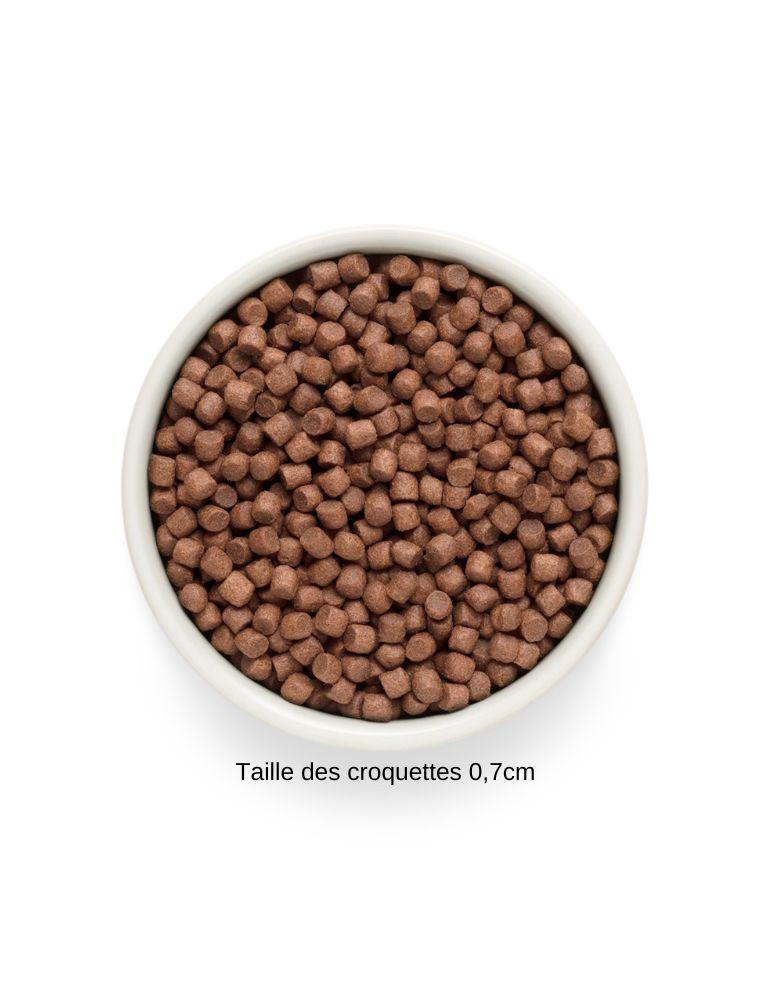 Croquettes chien adulte petite race - Sans céréales - Canard - Grandorf Fresh