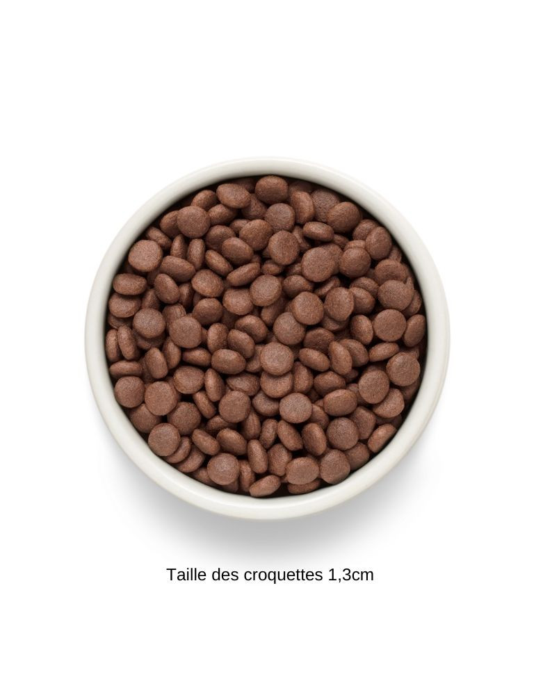 Croquettes chien adulte moyen et grand - Sans céréales - Agneau - Grandorf Fresh