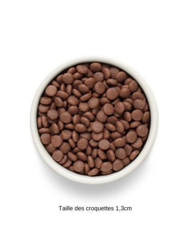 Croquettes chien - Saumon - Moyenne et grande race - Grandorf fresh 2