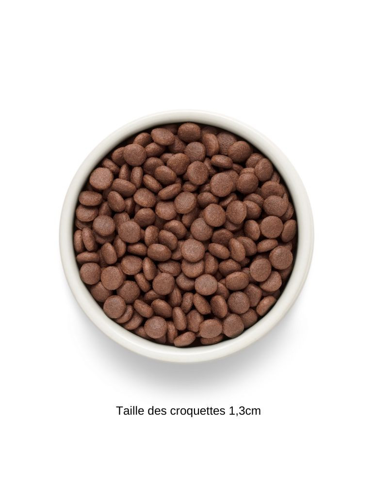 Croquettes chien adulte moyen et grand - Sans céréales - Saumon - Grandorf Fresh