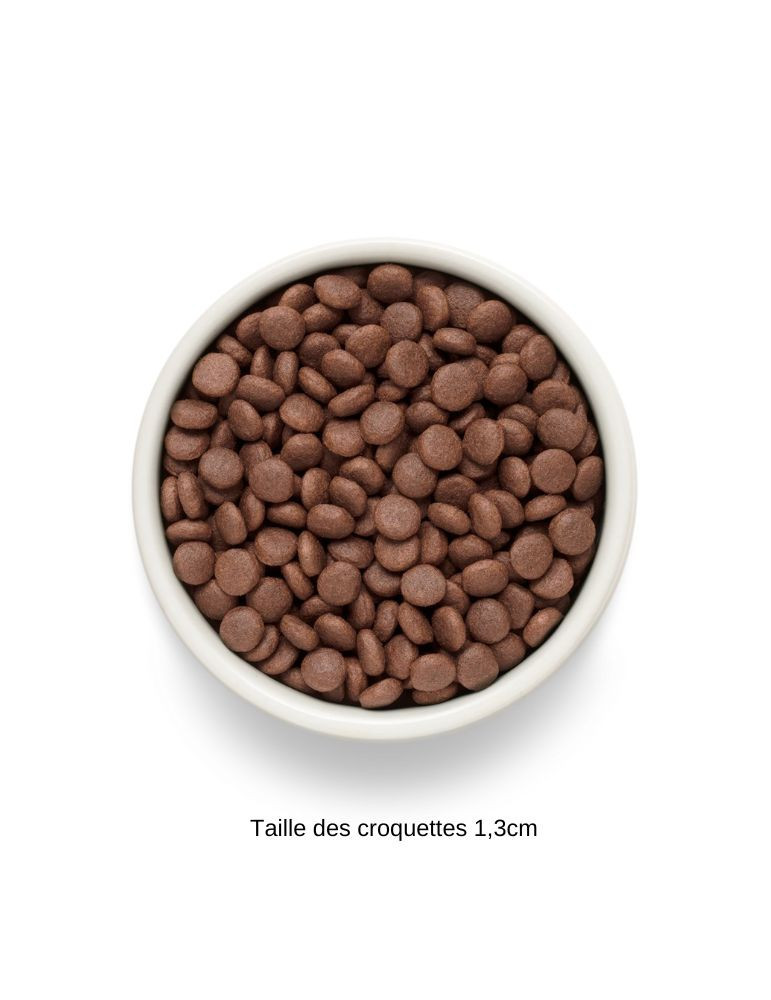 Croquettes chien adulte moyen et grand canard - Sans céréales - Canard - Grandorf Fresh