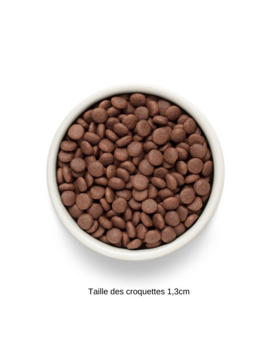 Croquettes chien adulte moyen et grand canard - Sans céréales - Canard - Grandorf Fresh