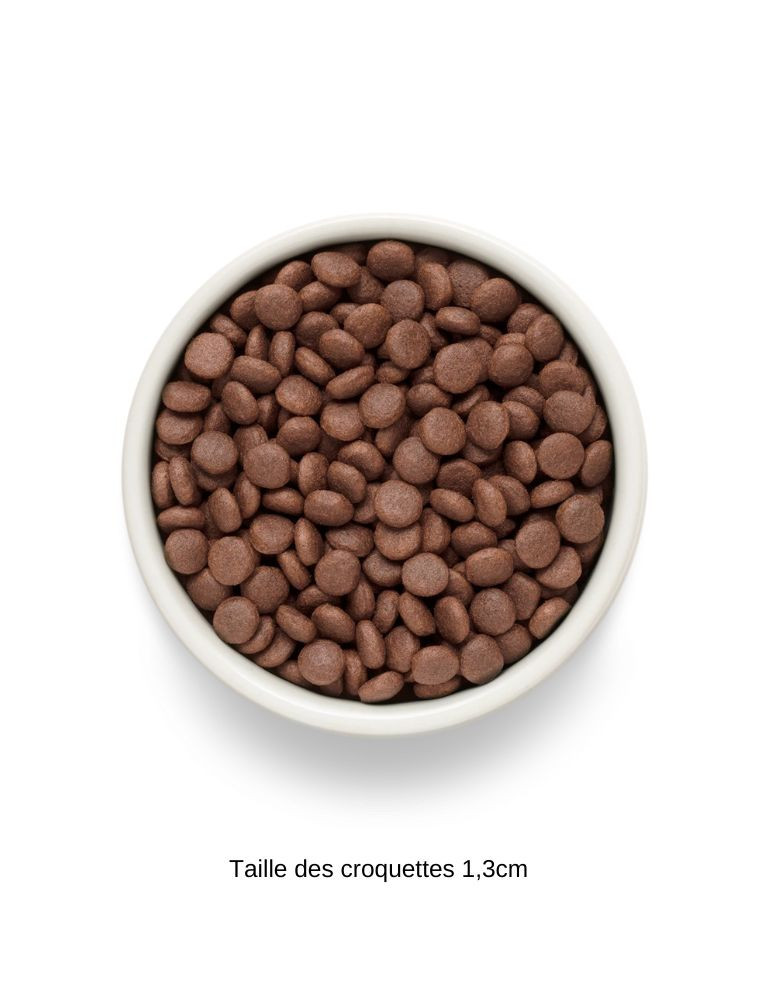 Croquettes grande race - Sans céréales - Agneau - Grandorf Fresh