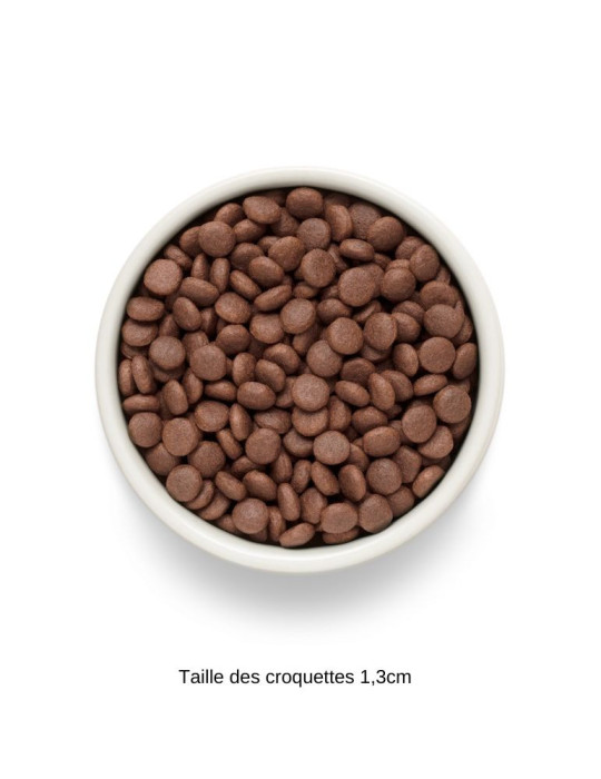 Croquettes grande race - Sans céréales - Agneau - Grandorf Fresh