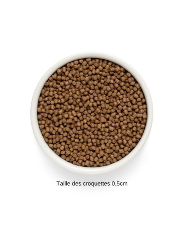 Croquettes chaton sans céréales agneau Grandorf Fresh 2