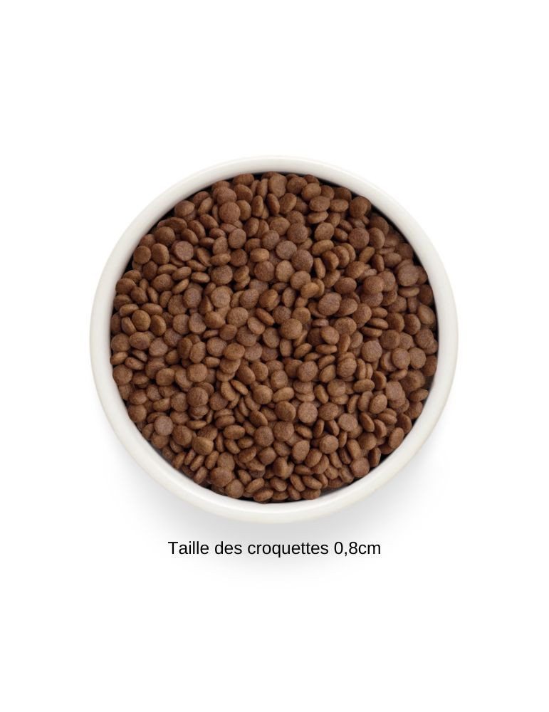 Croquettes chat adulte - Dinde - Sans céréales - Grandorf Fresh