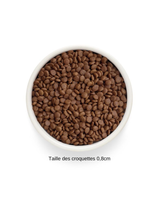 Croquettes chat adulte - Dinde - Sans céréales - Grandorf Fresh