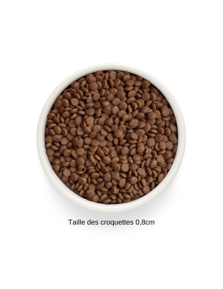 Croquettes chat adulte - Sans céréales - Canard - Grandorf Fresh