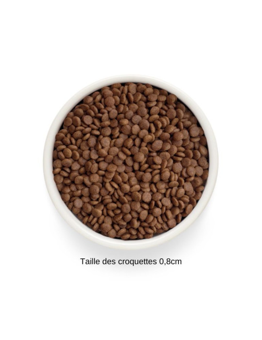 Croquettes chat adulte - Sans céréales - Canard - Grandorf Fresh