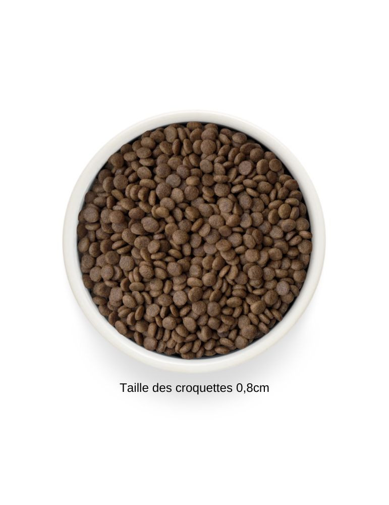 Croquettes chat stérilisé ou senior - Sans céréales - Dinde - Grandorf Fresh