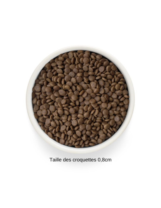 Croquettes chat stérilisé ou senior - Sans céréales - Dinde - Grandorf Fresh