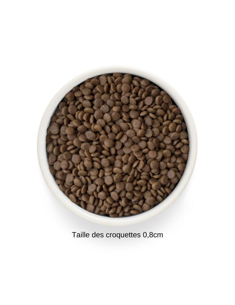 Croquettes chat stérilisé ou senior - Sans céréales - Saumon - Grandorf Fresh