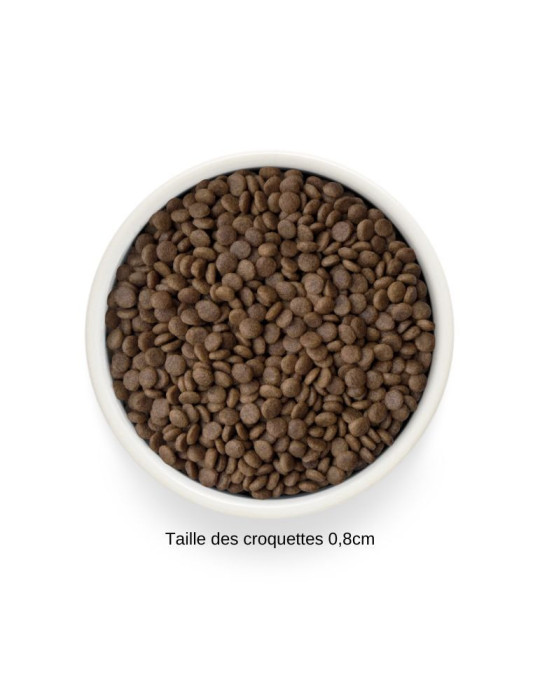 Croquettes chat stérilisé ou senior - Sans céréales - Saumon - Grandorf Fresh