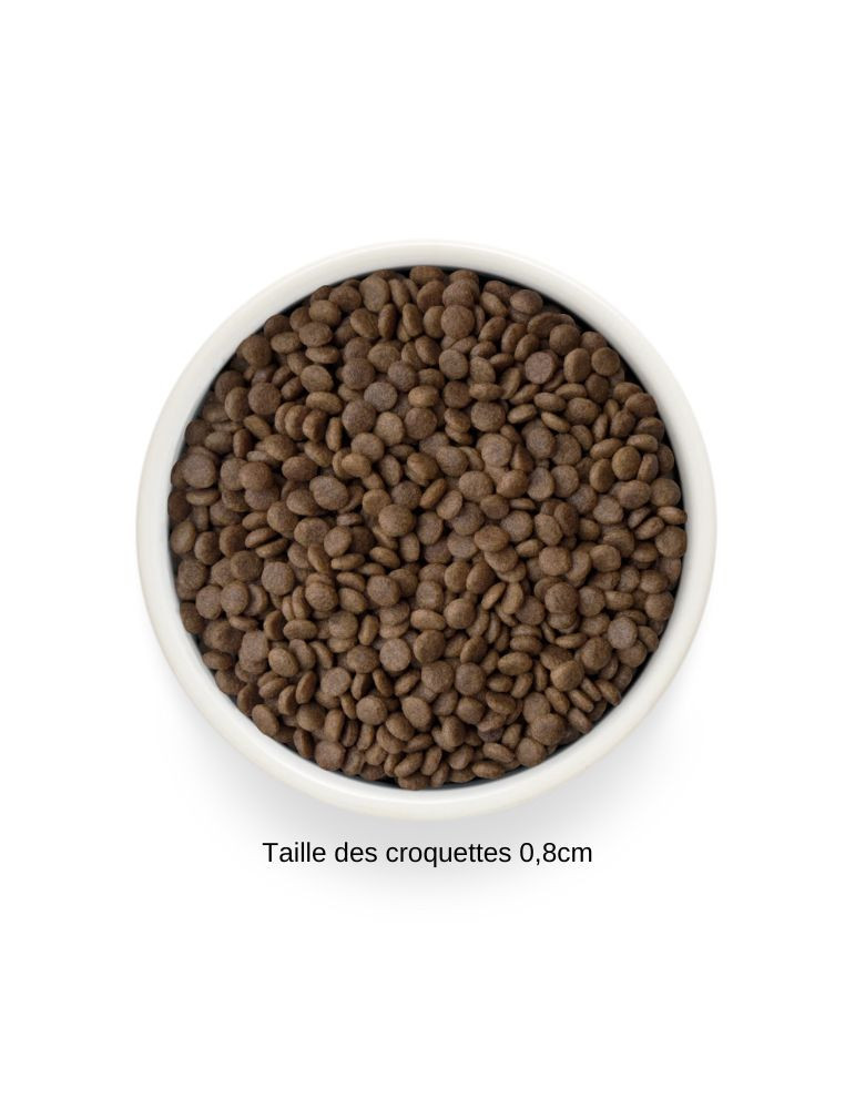 Croquettes chat stérilisé ou senior - Sans céréales - Canard - Grandorf Fresh