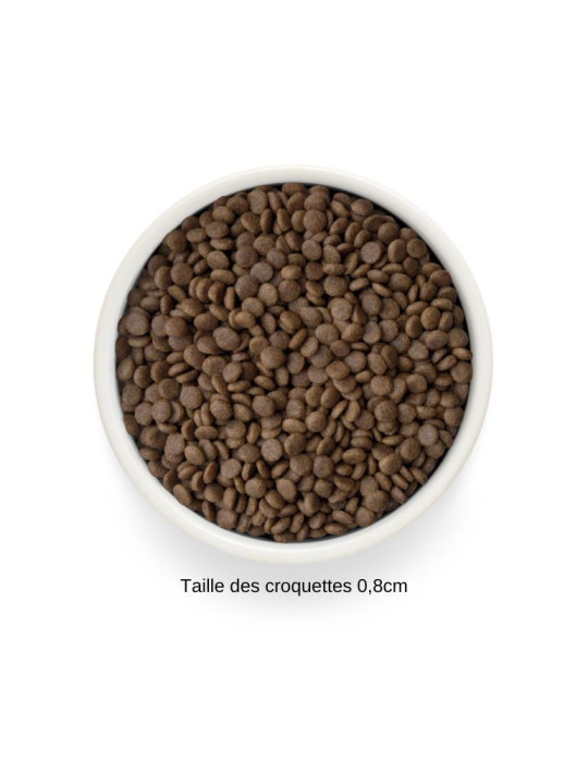 Croquettes chat stérilisé ou senior - Sans céréales - Canard - Grandorf Fresh