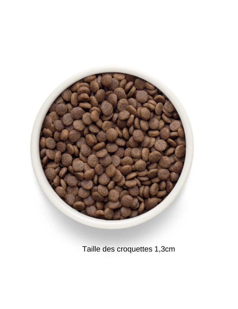Croquettes chat adulte Grande race - Sans céréales - Agneau - Grandorf Fresh