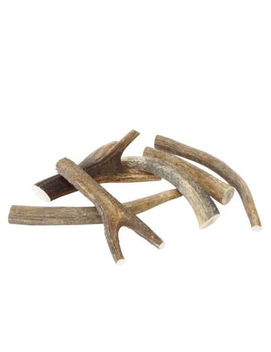 Friandise naturelle pour les chiens - Bois de cerf - Ferribiella Friandise naturelle pour les chiens - Bois de cerf - Ferribiella