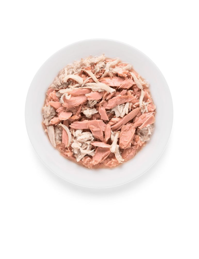 Pâtée chat Thon et Poulet Grandorf Sans Céréales 70g - Super Croquettes