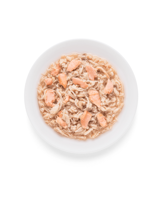 Pâtée chat adulte sans céréales Poulet et Saumon 70g Grandorf