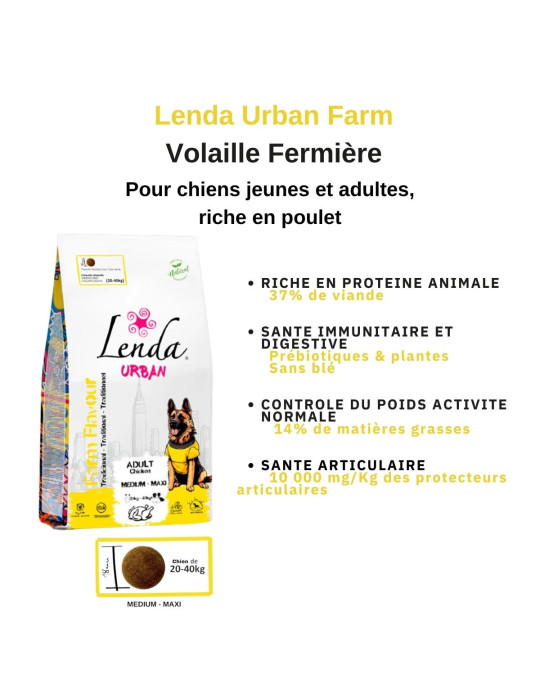 Croquettes au poulet pour chien adulte - Recette sans blé, riche en viandes et protectrice des articulations - Lenda