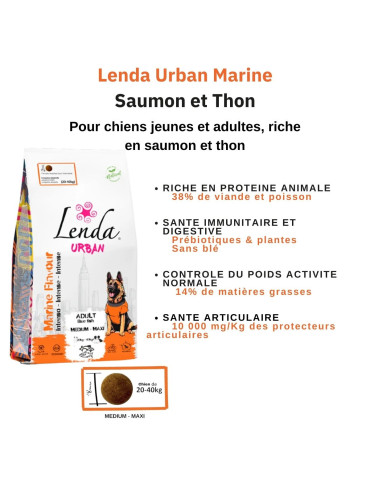 Croquettes au saumon, thon et viandes pour chiens adultes - LENDA Chien Urban Saumon et Thon 2