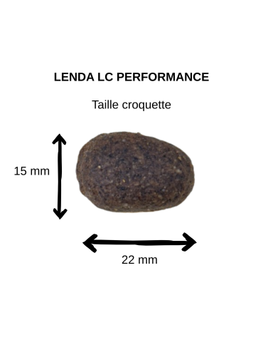 Croquettes haute performance  pour chiens jeunes et adultes de toutes races actifs et sportifs - LENDA LC Performance 2