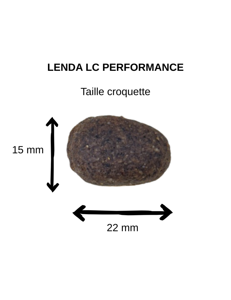 Croquettes haute performance pour chien sportif - Recette riche en protéines et énergie, articulations renforcées - Lenda