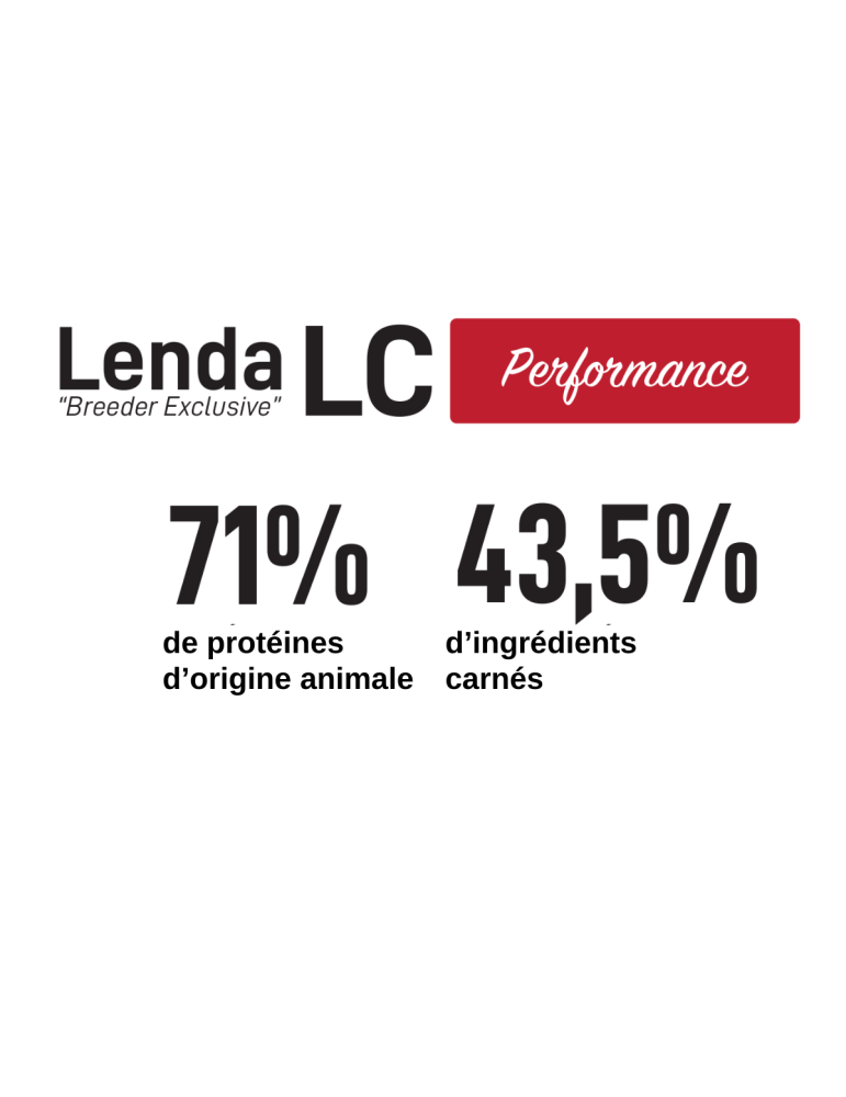 Croquettes haute performance pour chien sportif - Recette riche en protéines et énergie, articulations renforcées - Lenda