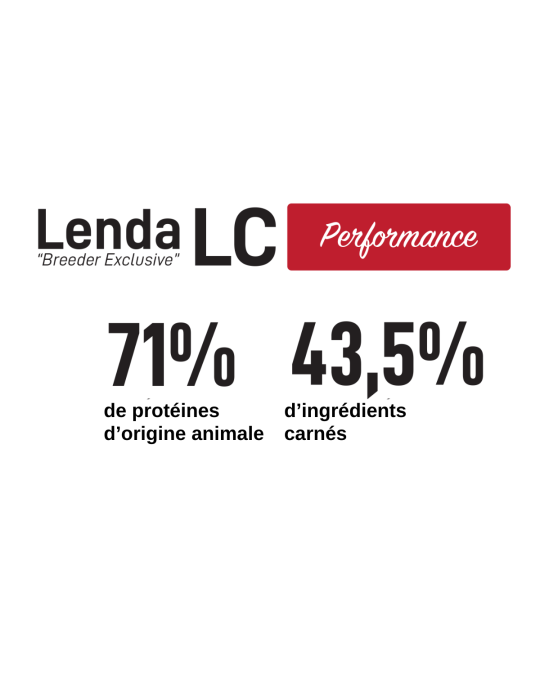 Croquettes haute performance pour chien sportif - Recette riche en protéines et énergie, articulations renforcées - Lenda