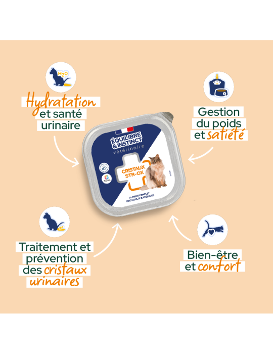 Pâtée pour chat calculs urinaires  – gamme vétérinaire | Équilibre & Instinct