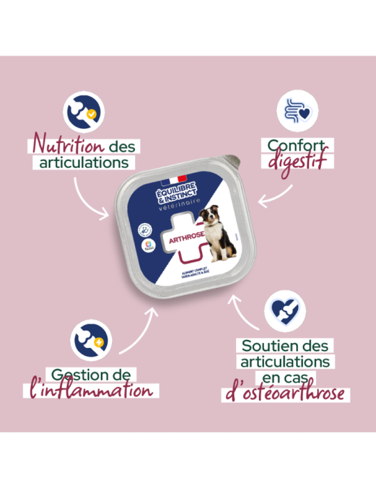 Pâtée diététique arthrose pour chien adulte et âgé | Équilibre & Instinct