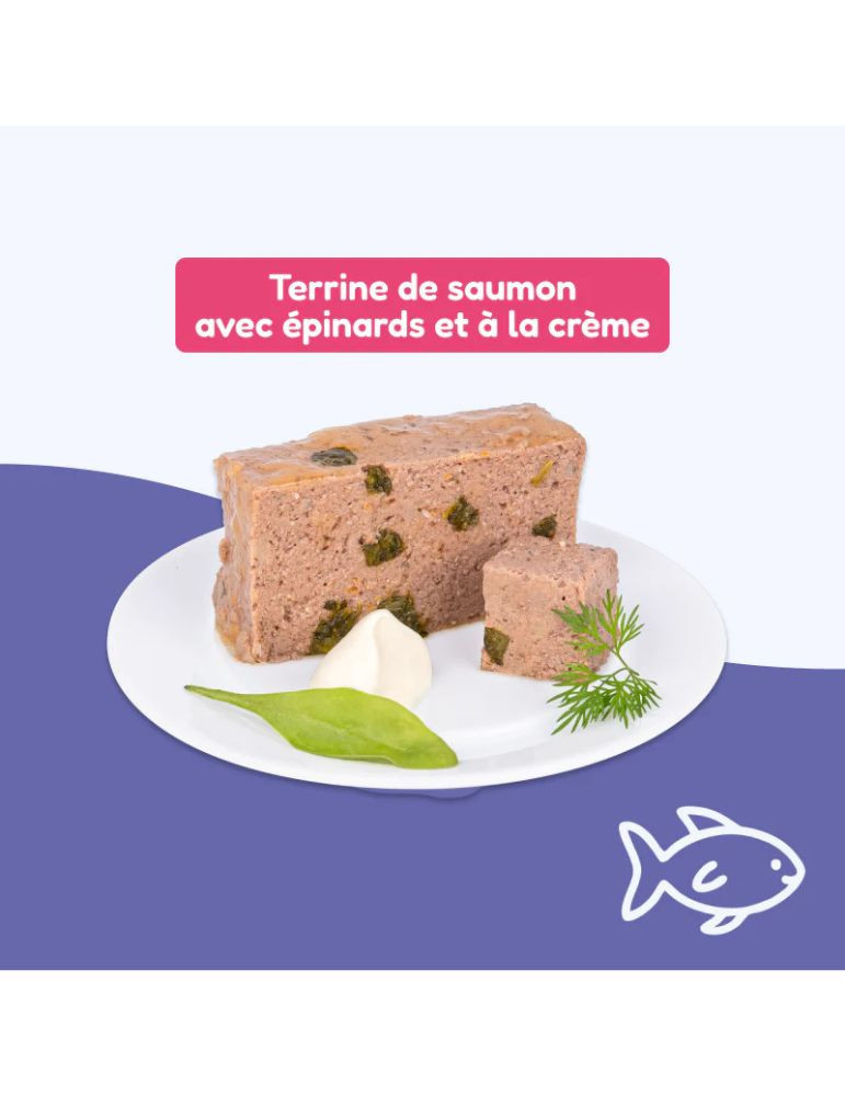 Terrine pour chat stérilisé saumon  | Repas Plaisir