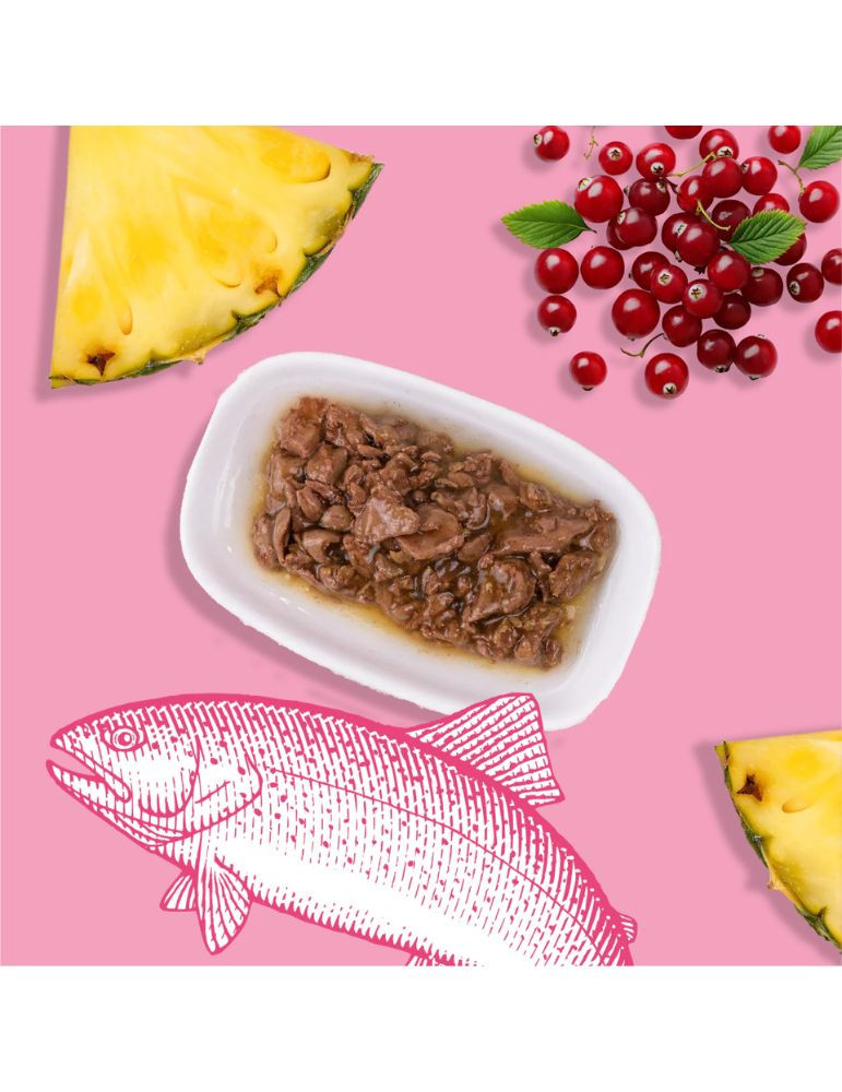 Sachet fraîcheur chat stérilisé saumon – digestion | Équilibre & Instinct