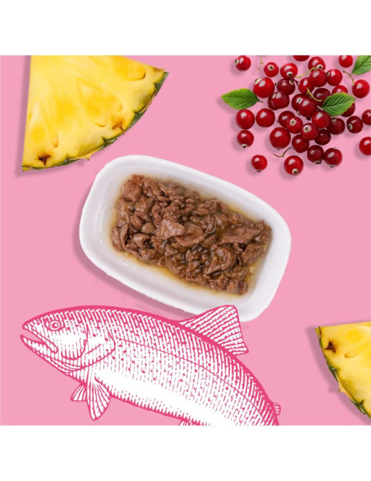 Sachet fraîcheur chat stérilisé saumon – digestion | Équilibre & Instinct