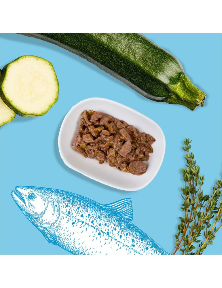 Sachet fraîcheur chat stérilisé truite – défenses | Équilibre & Instinct