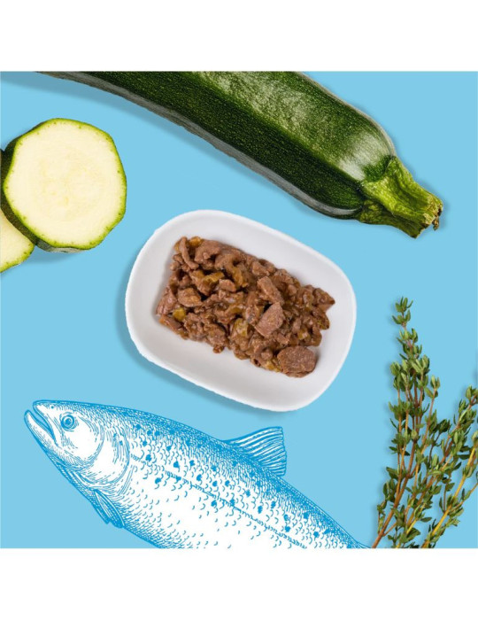 Sachet fraîcheur chat stérilisé truite – défenses | Équilibre & Instinct