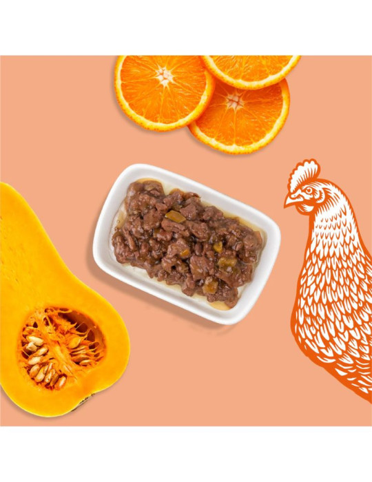 Sachet fraîcheur chat stérilisé poulet – énergie | Équilibre & Instinct