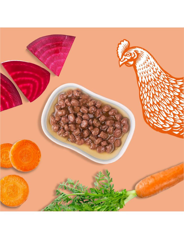 Sachet fraîcheur chaton poulet – croissance | Équilibre & Instinct