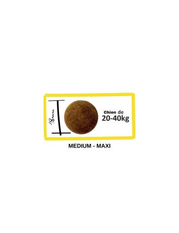 Croquettes chien grande race – Poulet | Lenda Urban 2