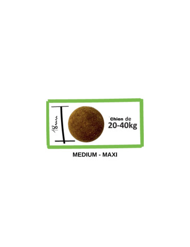 Croquettes chien grande race – Agneau | Lenda Urban 2