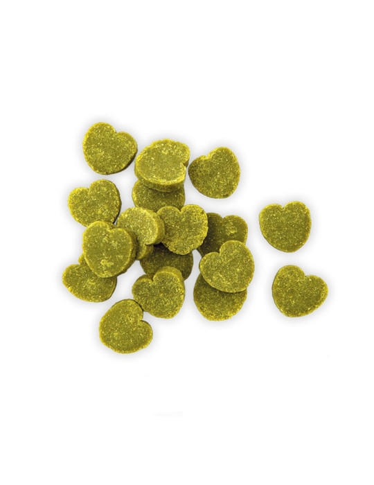 Greenheart chien friandises Coeur Vert