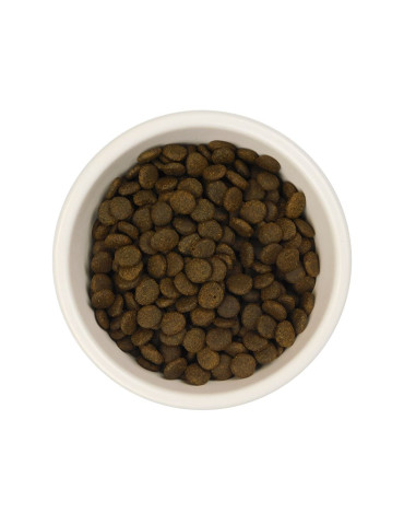 AATU Chat 85/15 Saumon 2