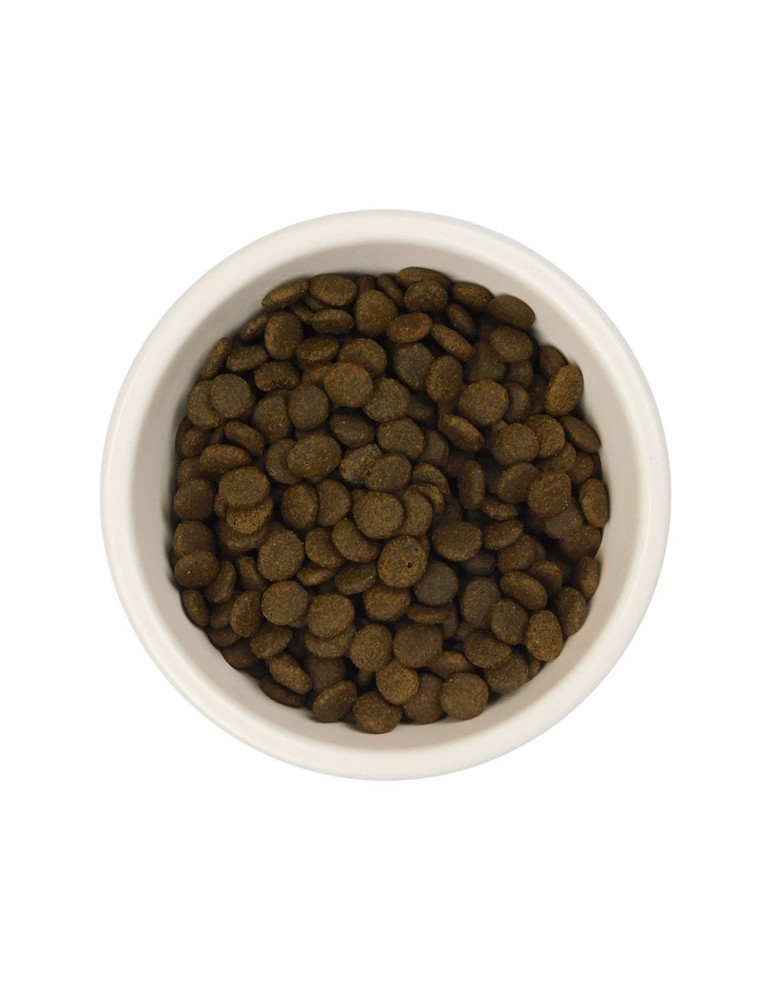 AATU Chat 85/15 Saumon