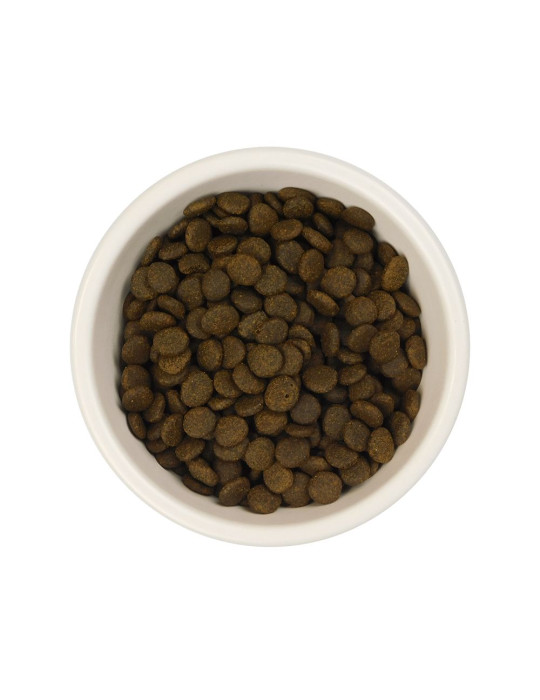 AATU Chat 85/15 Saumon