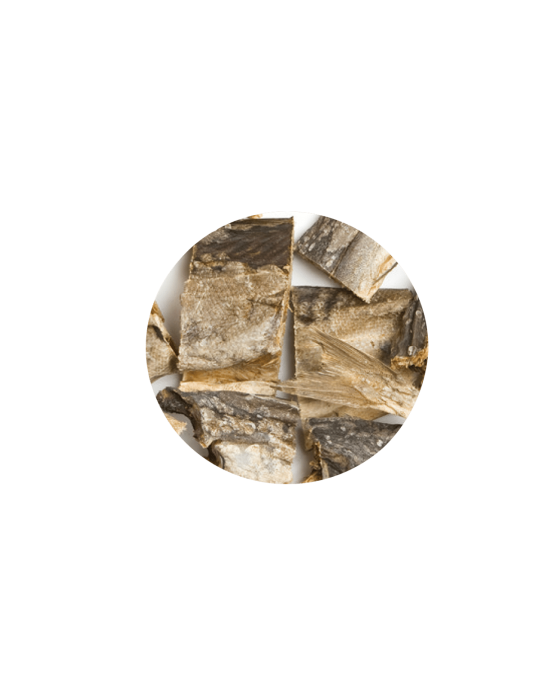 Greenheart chien friandises au Poisson Séché