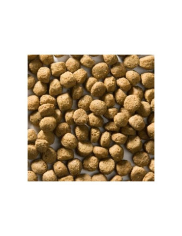 Croquettes agneau sans gluten pour chien sensible toute race - Greenheart Chien "Anti Allergy" 2