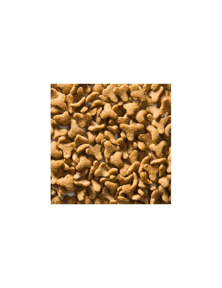 Greenheart chat Agneau et Riz